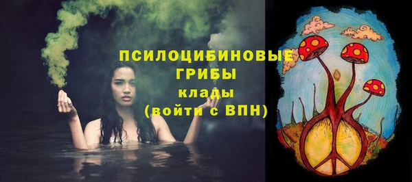 не бодяженный Кукмор