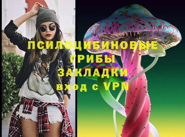 гашик Великий Новгород