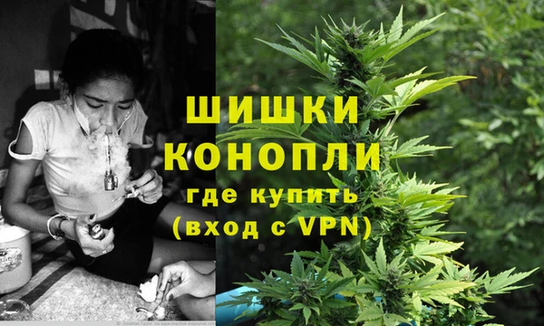 индика Мурманск