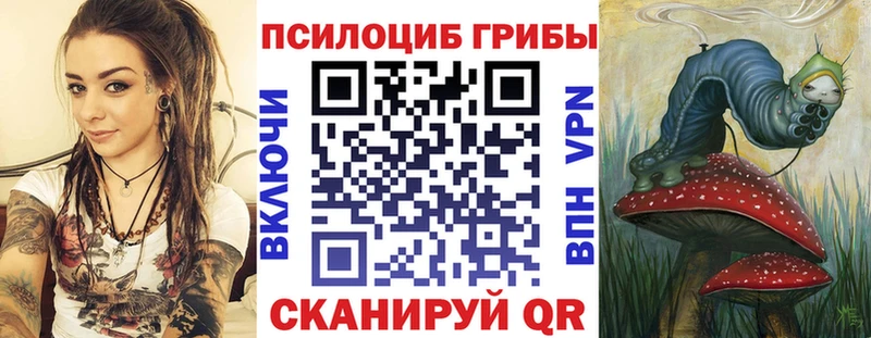 Галлюциногенные грибы Psilocybe  Краснозаводск 